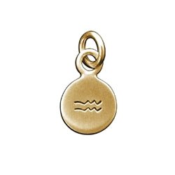 14 Karat Gold AQUARIUS Zodiac Disc Charm - Luxe Design Jewellery