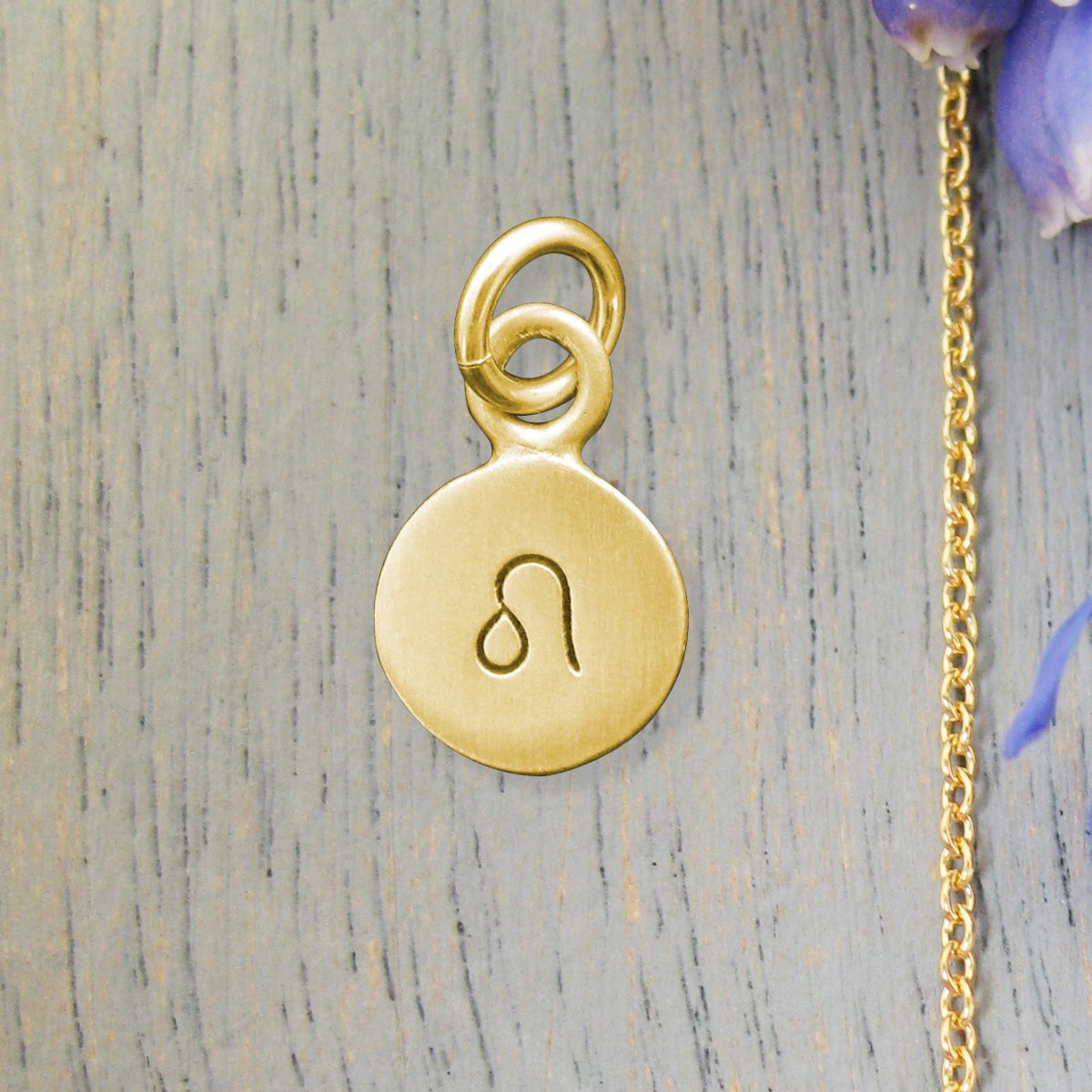14 Karat Gold LEO Zodiac Disc Charm - Luxe Design Jewellery