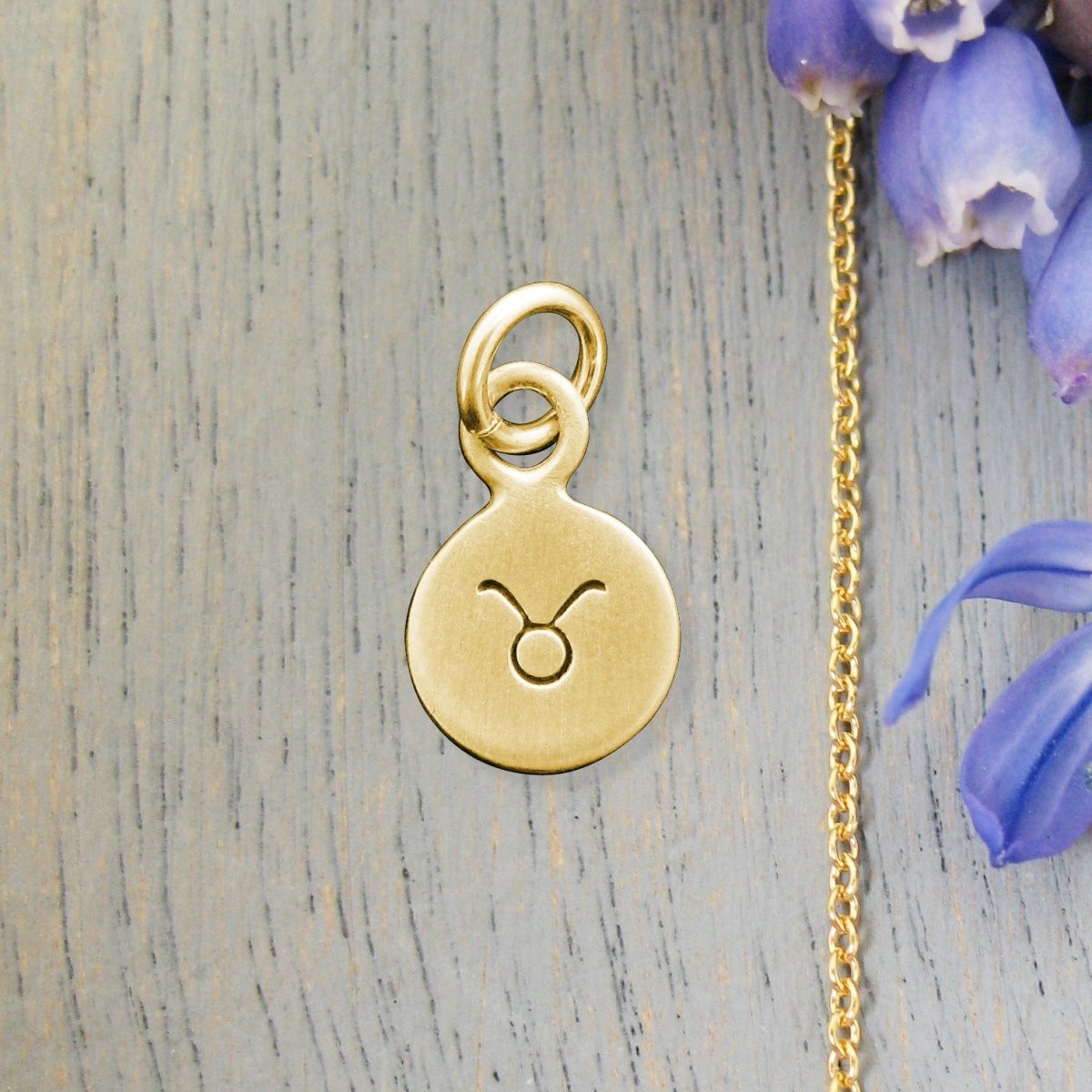 14 Karat Gold TAURUS Zodiac Disc Charm